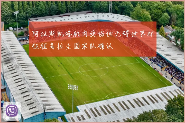 阿拉斯凯塔肌肉受伤但无碍世界杯征程乌拉圭国家队确认